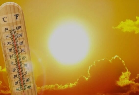 Screenshot_20240713-132412_Chrome