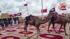 [ID: 8c0hbjf9NyI] Youtube Automatic