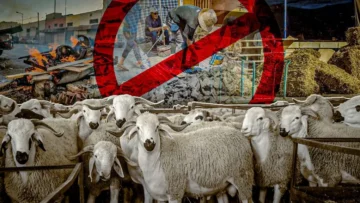 WhatsApp-Image-2025-05-22-at-14.25.57-1024×576