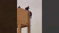 خاص: [ID: wqQ0UQd_N4Y] Youtube Automatic