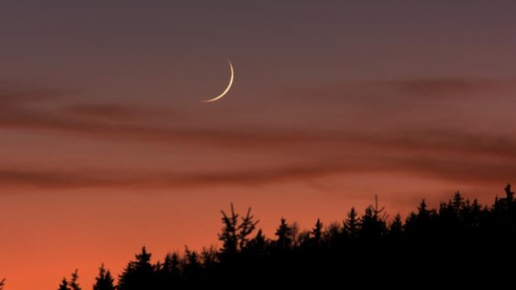 45c8fdf80c0d470ab3c5a86d209ef921_810x540