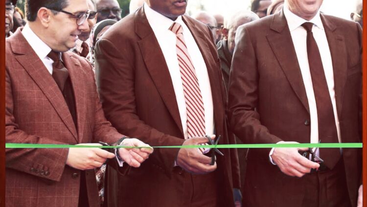 Picsart_25-12-20_17-06-15-763