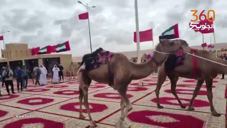 [ID: 8c0hbjf9NyI] Youtube Automatic