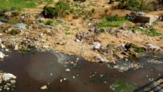 FB_IMG_1770481048429