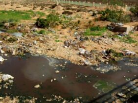 FB_IMG_1770481048429