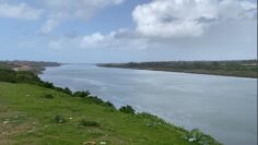 Picsart_26-02-10_16-15-10-414