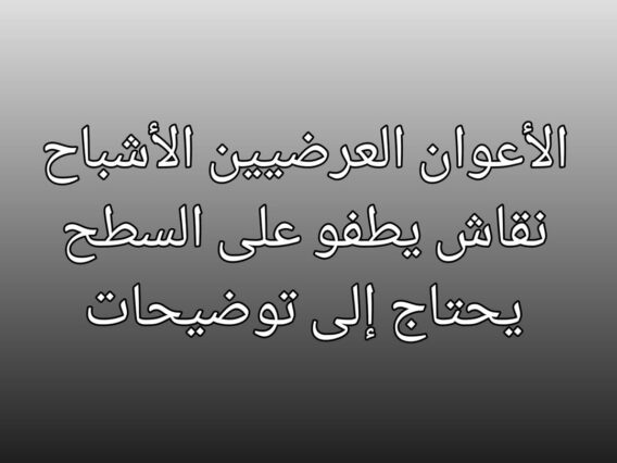 FB_IMG_1772918398315