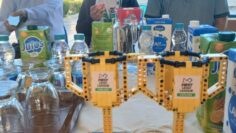 FB_IMG_1774875194381