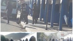 Picsart_26-03-25_12-10-12-825