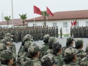 vis_0302202617262818-768×451