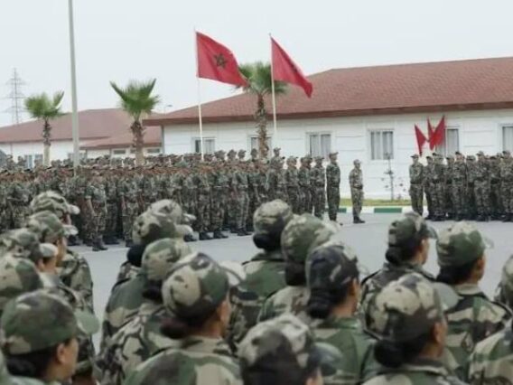 vis_0302202617262818-768×451