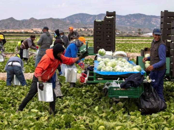 K7HTOCRG2FLMNECIGHY6KTVRTE-1024×576