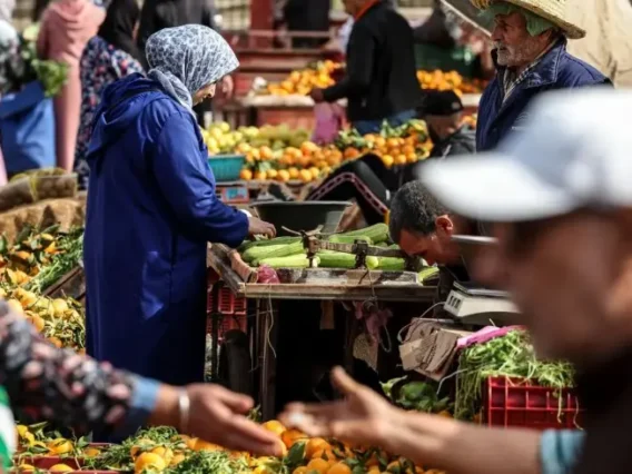 image_870x_69e608f340b7f